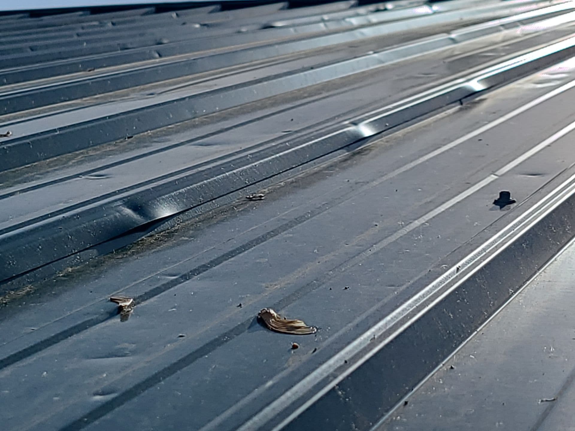 Gallery photos for Hail Damage Solution with a New Metal Roof in Platteville WI: Image #6